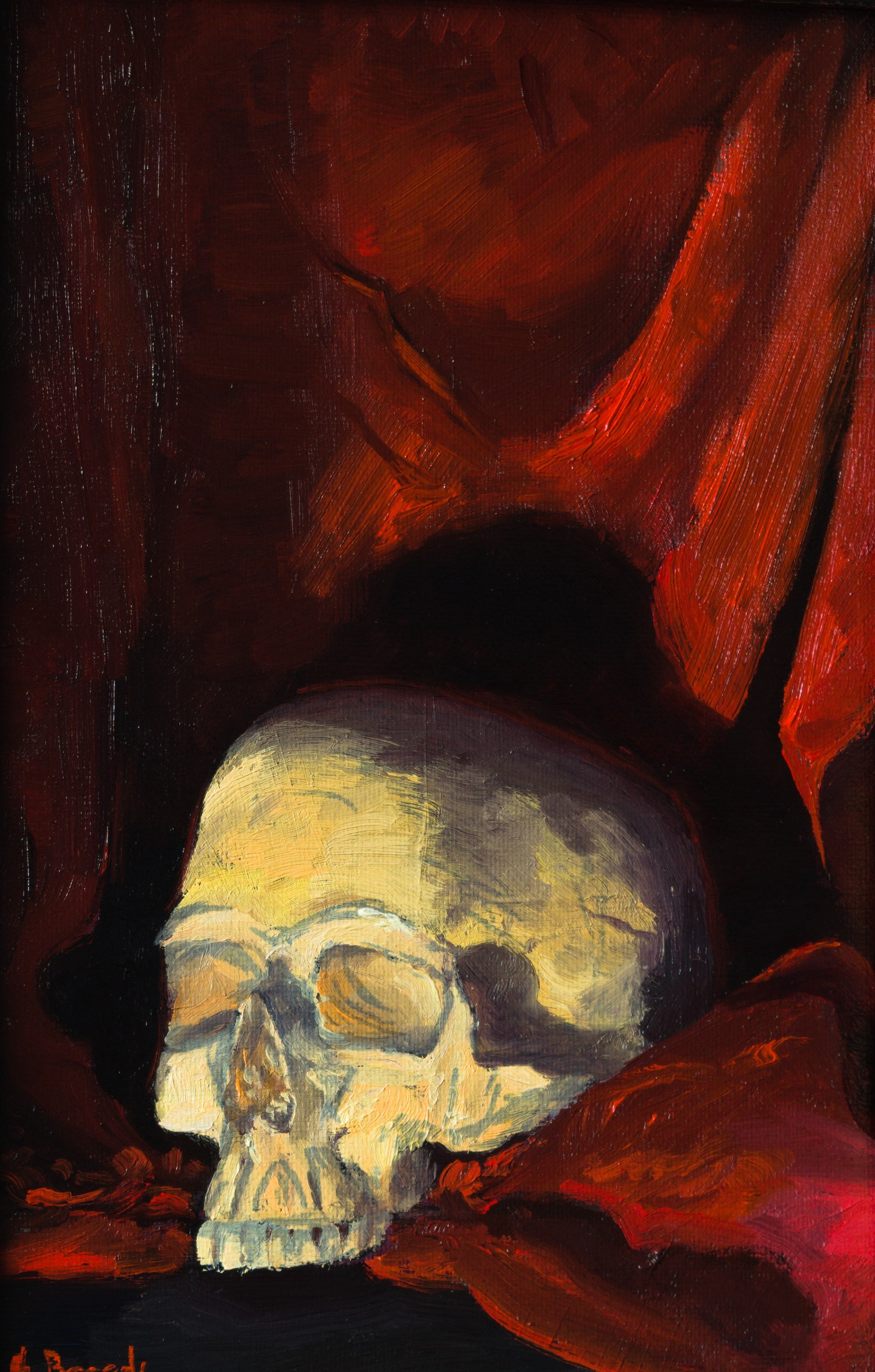 Skull Still Life